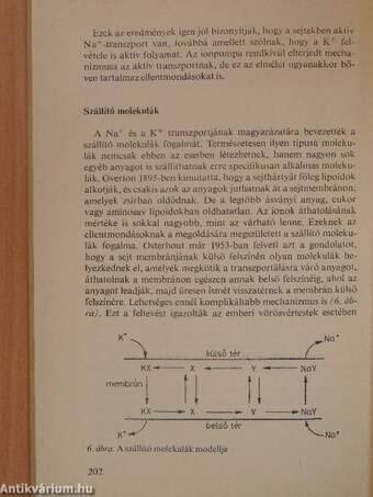 A biológia aktuális problémái 31.