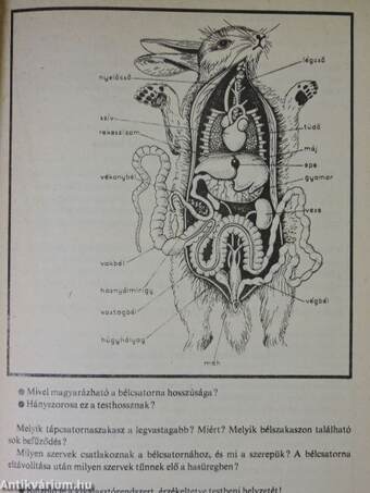 Biológiai gyakorlatok I.