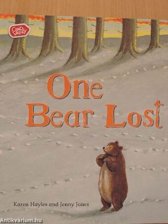 One Bear Lost