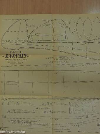 TAS-3 "Karvaly" vitorlázó model