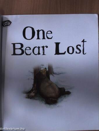 One Bear Lost