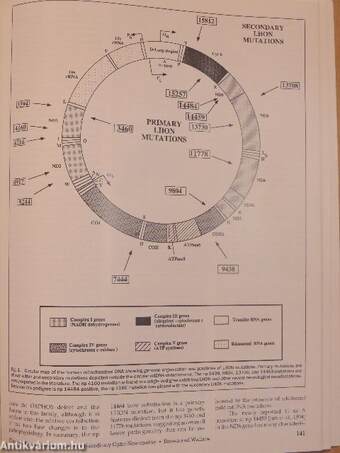 Clinical Neuroscience 1994/2.