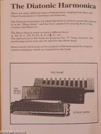 Learn to play Blues Harmonica