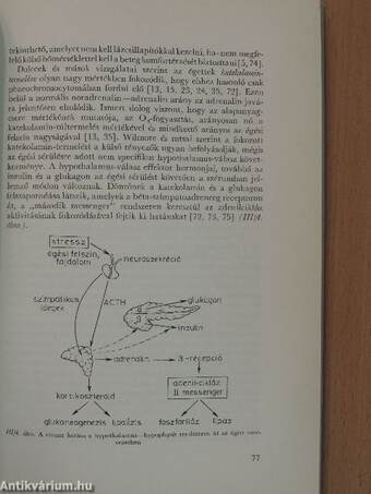 Az orvostudomány aktuális problémái 38.