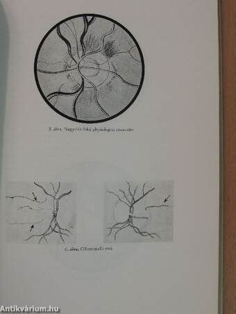 Az orvostudomány aktuális problémái 1972/2.