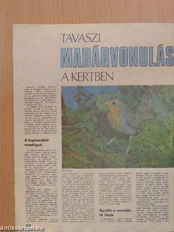 Kertbarát Magazin 1982. tavasz