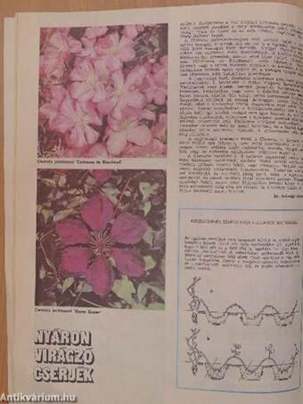 Kertbarát Magazin 1984. nyár