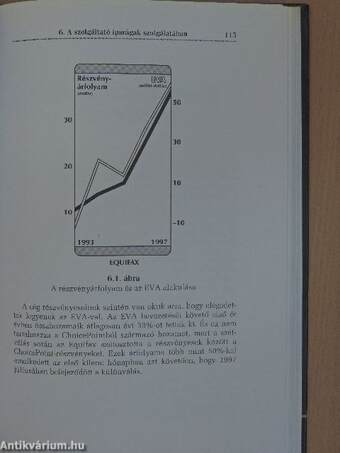 EVA - Economic Value Added: Gazdasági hozzáadott érték