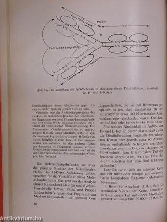 Immunglobuline und Immunopathien