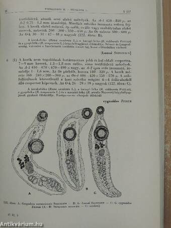 Mételyek II.-Trematodes II.