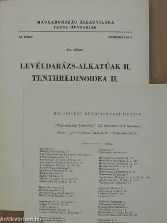 Levéldarázs-alkatúak II.