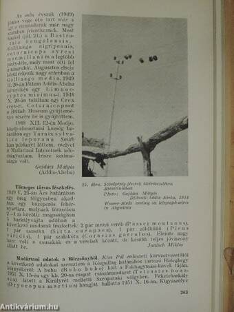 Aquila - A Magyar Madártani Intézet évkönyve 1948-1951