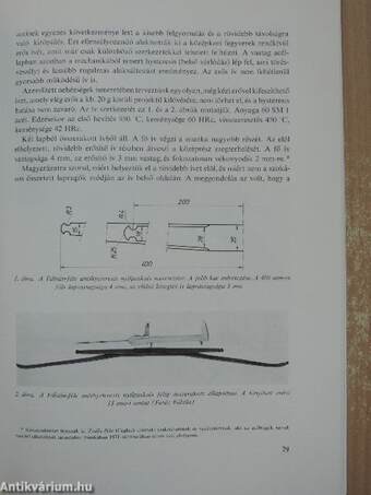 Nagyvadgazdálkodás