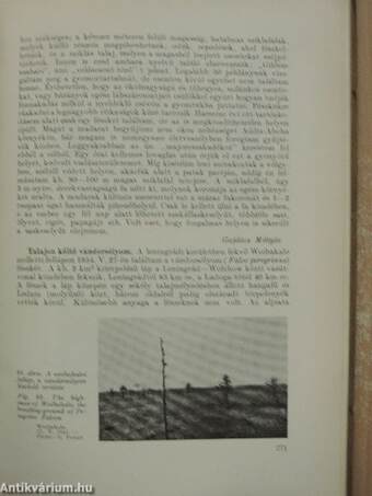 Aquila - A Magyar Madártani Intézet évkönyve 1956-1957