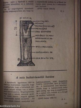 Méhészetünk 1961-1962. január-december