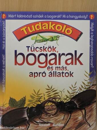 Tücskök, bogarak és más, apró állatok