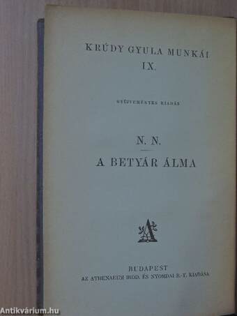 N. N. - egy szerelem-gyermek regénye/A betyár álma és más elbeszélések