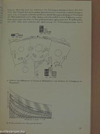 Die portale Hypertension im Kindesalter