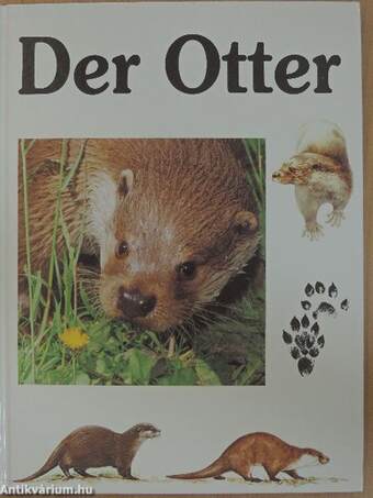 Der Otter