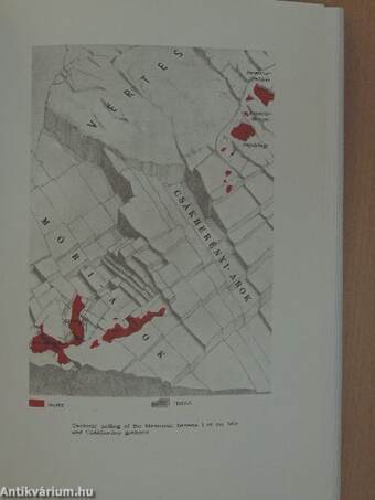 A Magyar Állami Földtani Intézet Évkönyve LIV. kötet 3. füzet