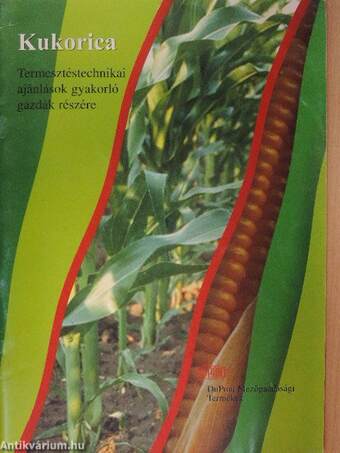A kukorica termesztéséről