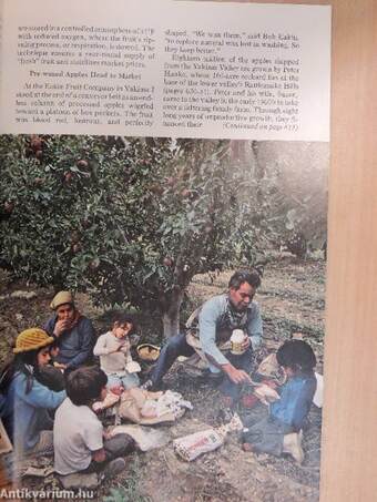 National Geographic November 1978