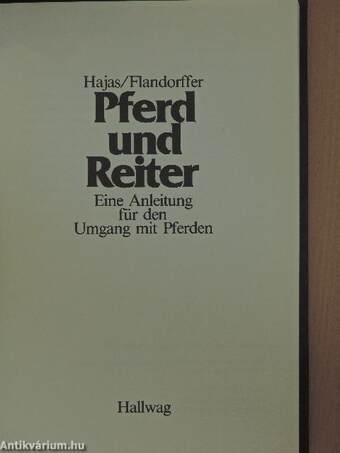 Pferd und Reiter