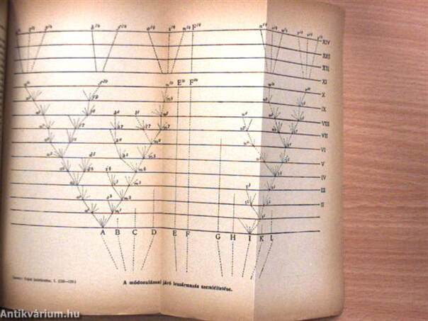 Fajok keletkezése természetes kiválasztás útján I-II.