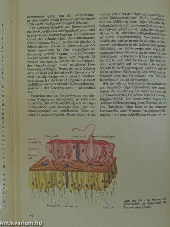 Das Bild der modernen Biologie