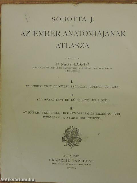 Az ember anatomiájának atlasza II. (töredék) (rossz állapotú)