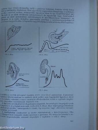 Határterületi differenciál-diagnosztika