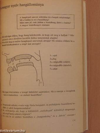 Magyar nyelv II.