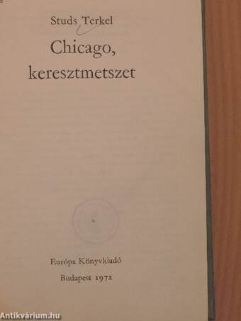 Chicago, keresztmetszet