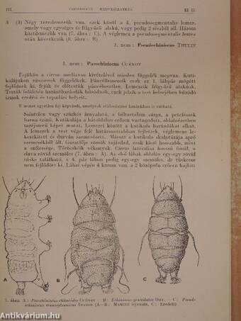 Féreglábúak I.: Medveállatkák