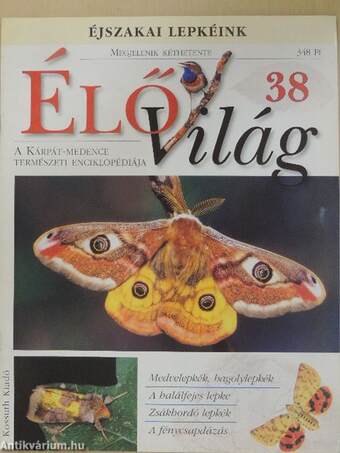 Élővilág 38.