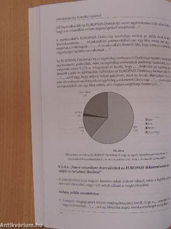 Az EUROPASS bevezetése, alkalmazásának nemzetközi és hazai tapasztalatai