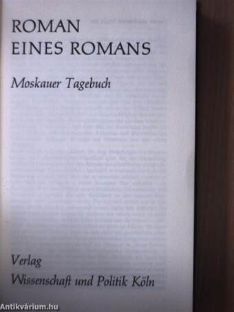 Roman eines Romans