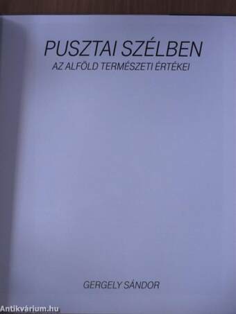 Pusztai szélben