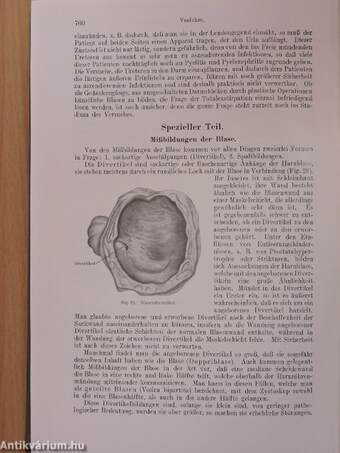 Lehrbuch der Chirurgie I-II.