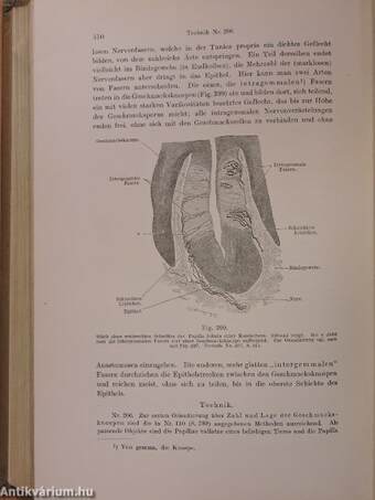 Lehrbuch der Histologie