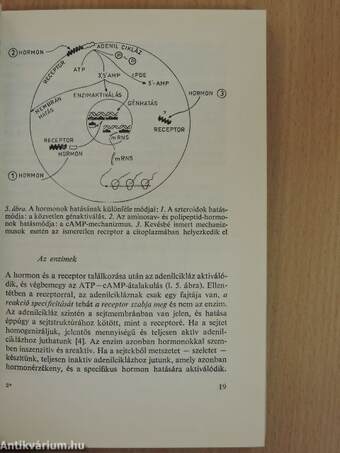 A biológia aktuális problémái 1.