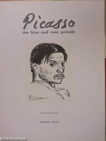 Picasso the blue and rose periods