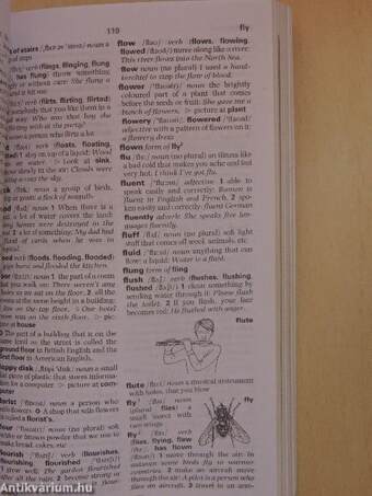 Oxford Basic English Dictionary