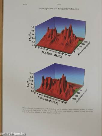 Mikrometeorologische Prozesse bei der Ablation eines Alpengletschers