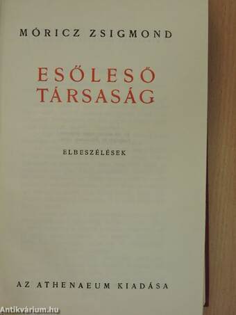 Esőleső társaság