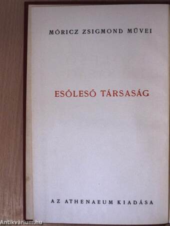 Esőleső társaság