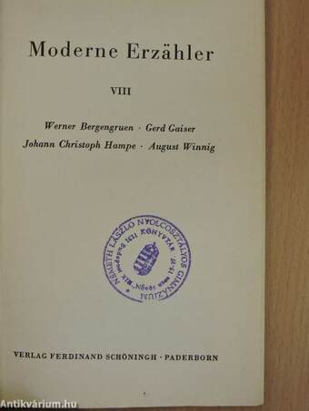 Moderne Erzähler VIII.