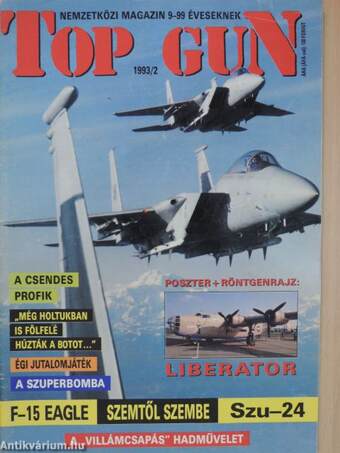 Top Gun 1993. február