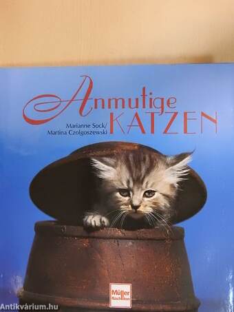 Anmutige Katzen