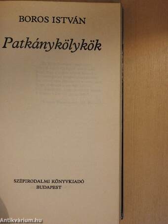 Patkánykölykök